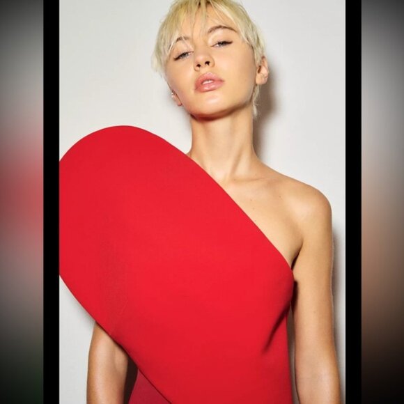 Zara Tops - ZARA ASYMMETRIC SWEETHEART TOP